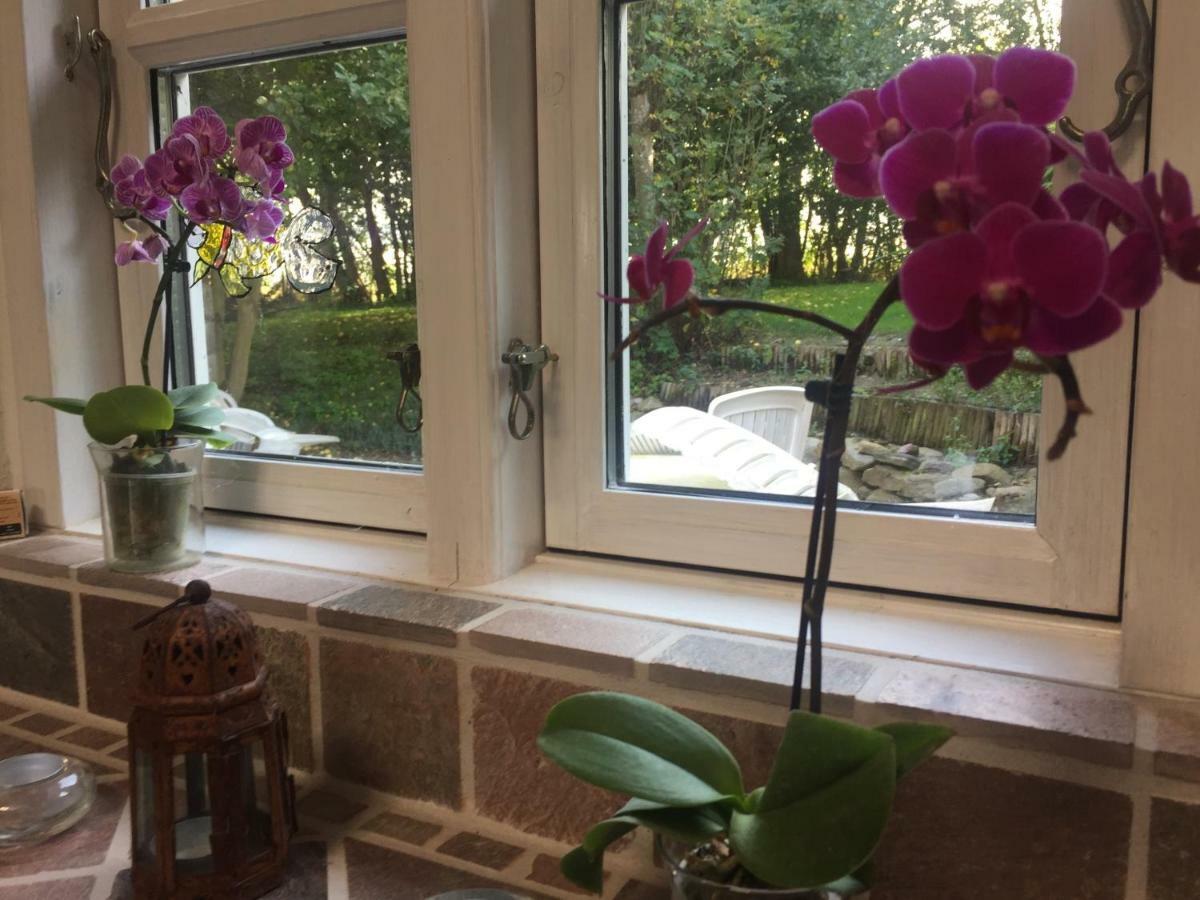 Rosenlund Bed & Breakfast Skovsgarde Ngoại thất bức ảnh